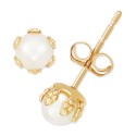 Children's Cultured Freshwater Pearl (3-1/2mm) Small Stud Earrings in 14k Gold