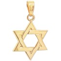 Pendant in 14k Yellow Gold