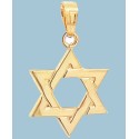 Pendant in 14k Yellow Gold